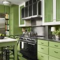 Кухня в темно зеленых тонах