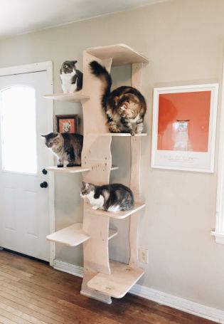 Лестница для кота своими руками