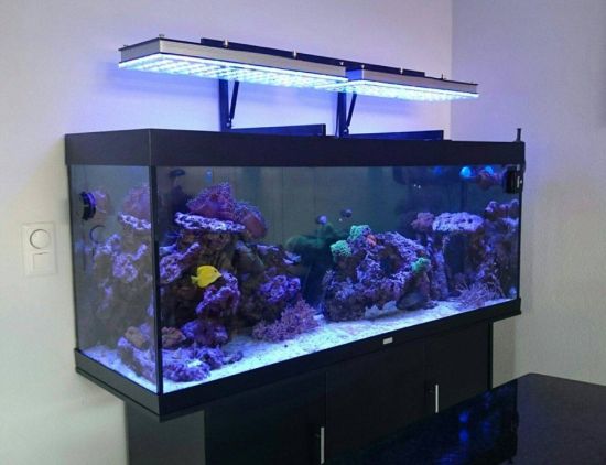 Подвесной светильник для аквариума своими руками