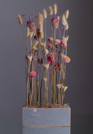 Сухие цветы для декора в вазу