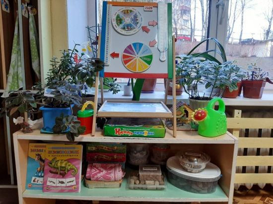 Оформление уголка природы в детском саду