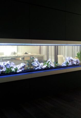 Плоский аквариум на стену