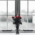 Розы на окне