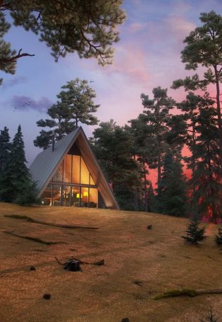 Треугольные дома в лесу