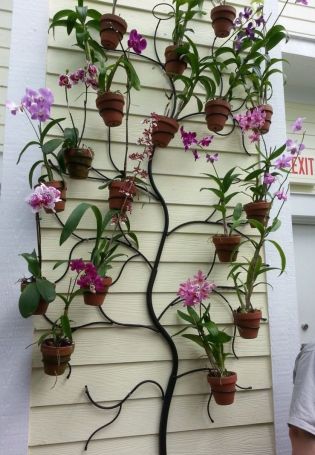 Лучшие стеллажи для орхидей