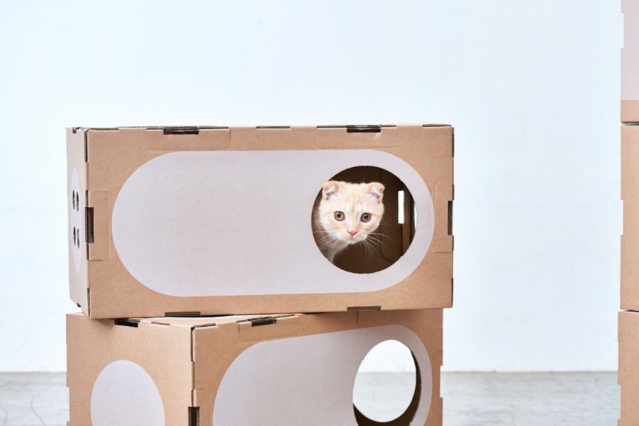 Cat thing. Картонный Лабиринт для кошек. Домик для кошки из картона. Дом для кошки из коробки. Домики для котов из коробок.