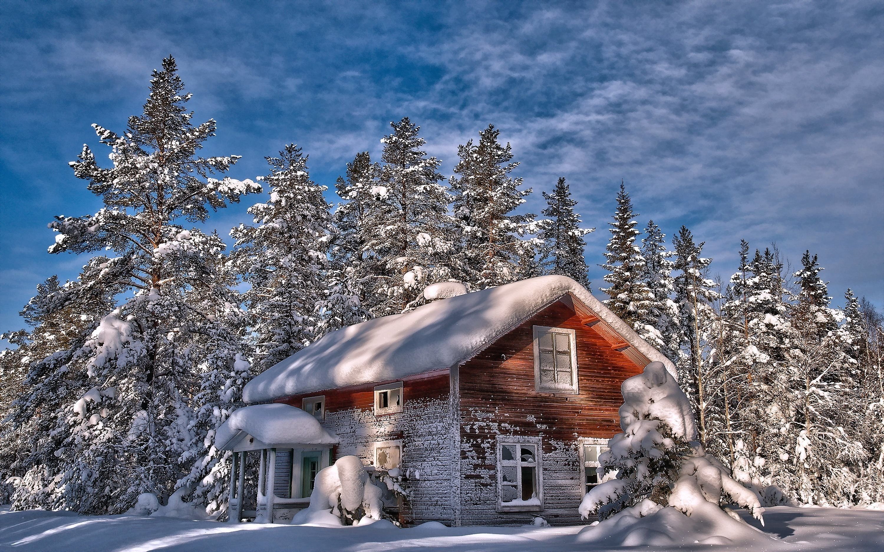 Снежка домики. Заснеженный домик. Зимний дом. Домик в зимнем лесу. Дом в лесу зимой.