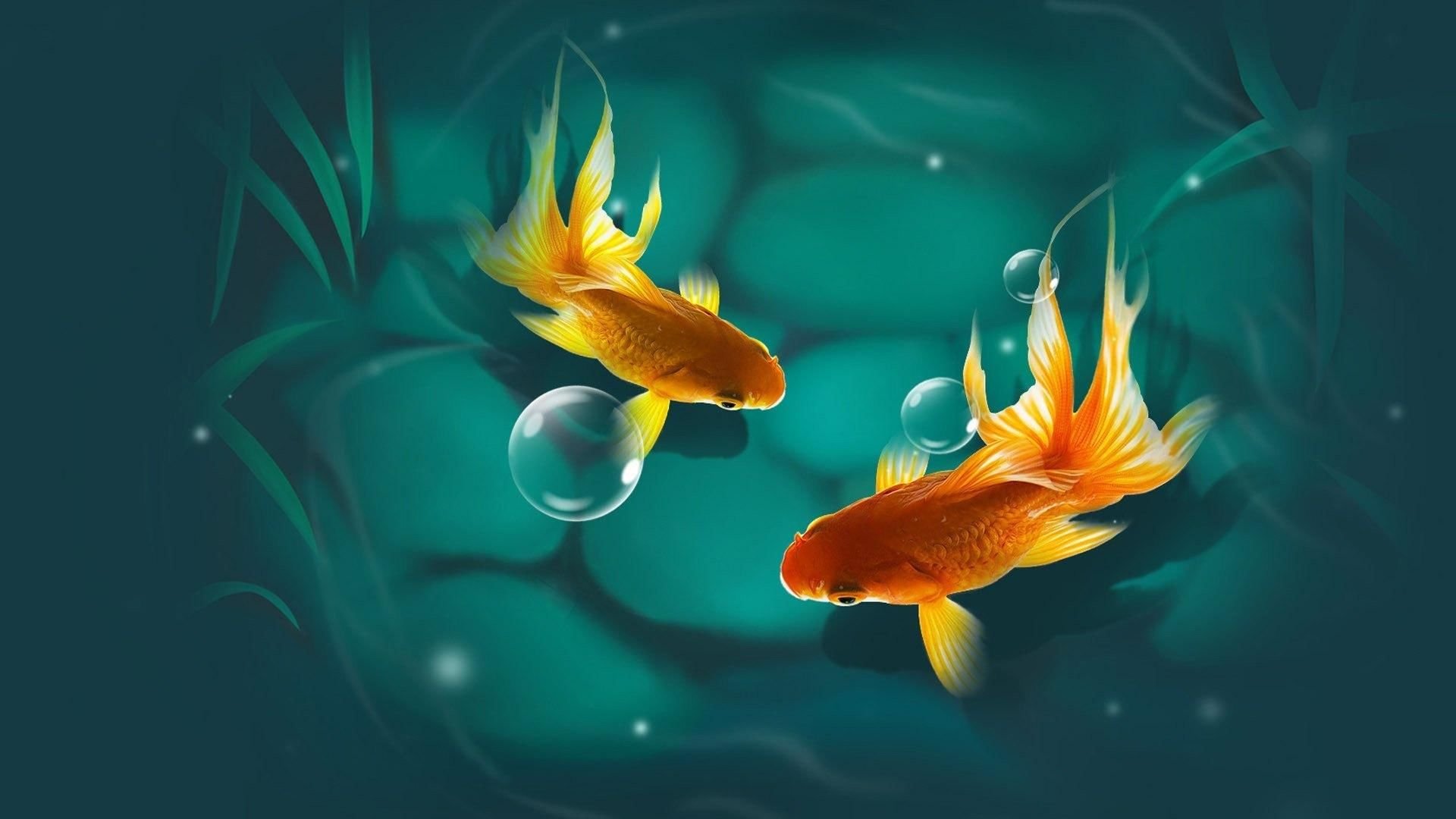 Живые плавающие обои. Золотая рыбка. Живые рыбки. Красивые рыбы.