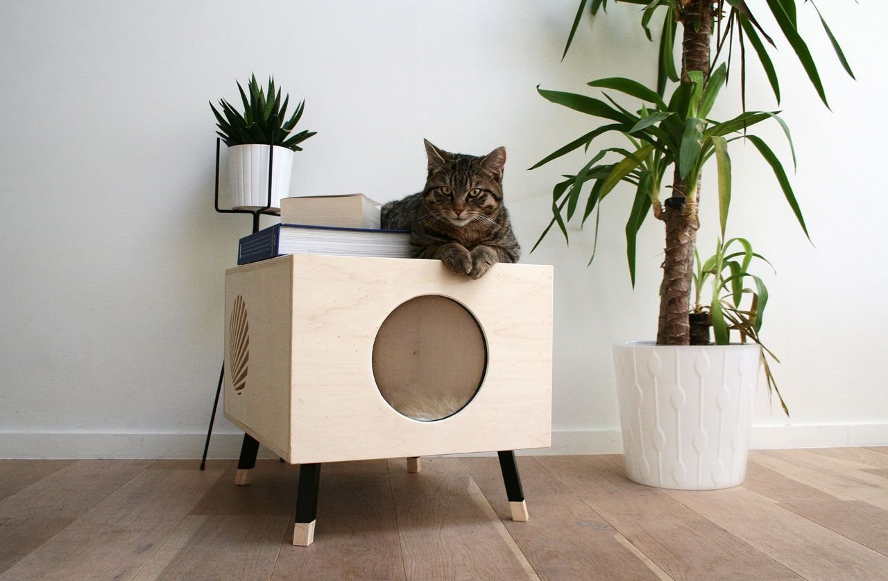 Дома живет кошка. Дом для кошки. Стильные домики для кошек. Дизайнерские кошачьи домики. Необычная мебель для кошек.
