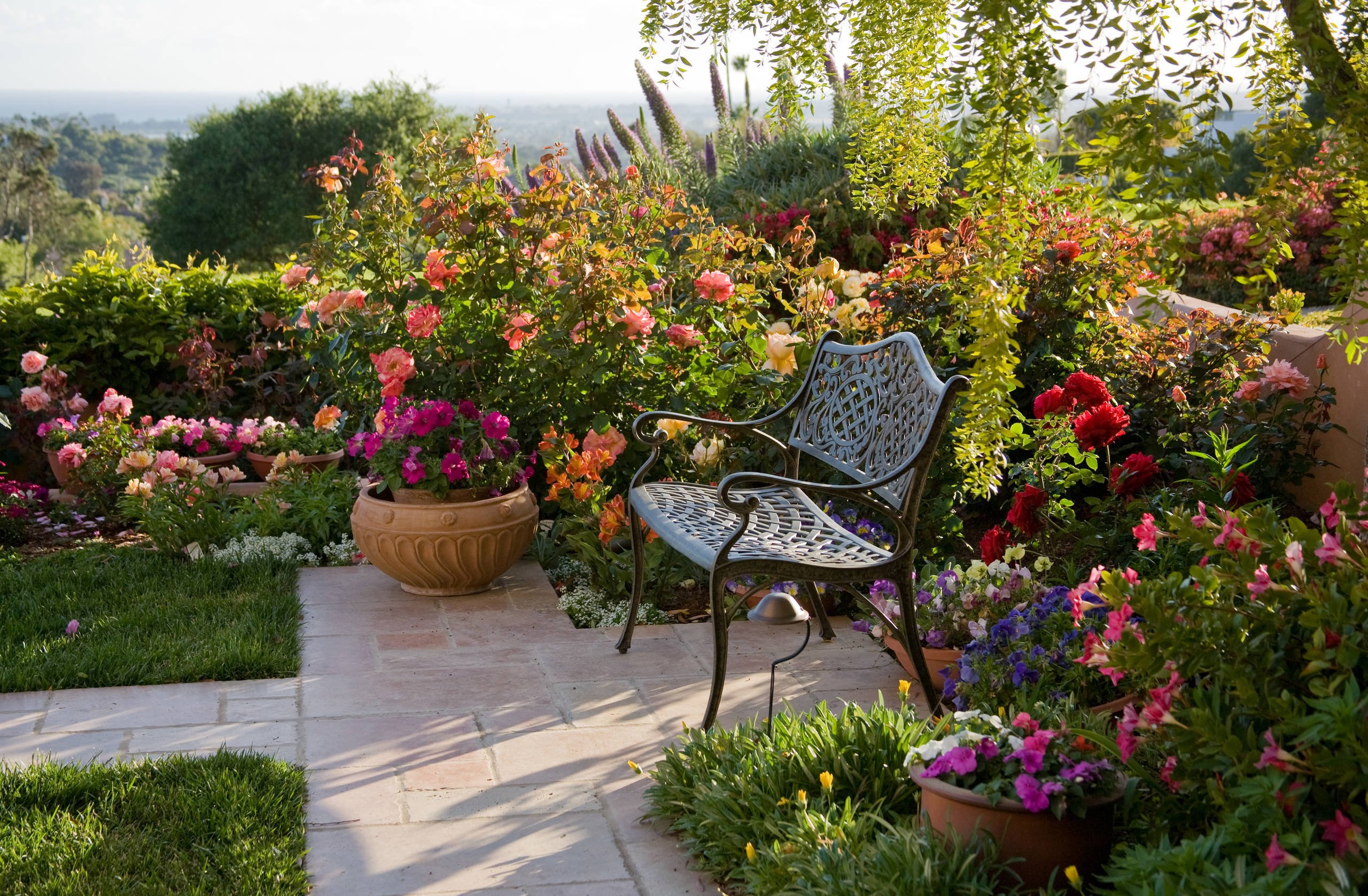 З саду. Розарий и патио. Мавританский сад розарий. Хлебородова розарий. Композиции в саду.