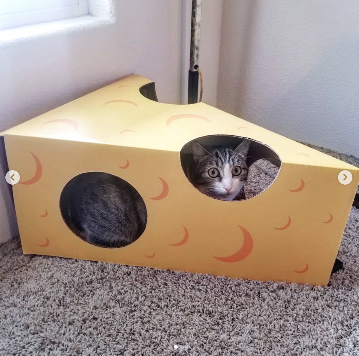 Сделать кота из коробки. Домик для кошки из коробок. Домик для кота из картона. Домик для кошки из картонной коробки. Домики для котят из коробок.