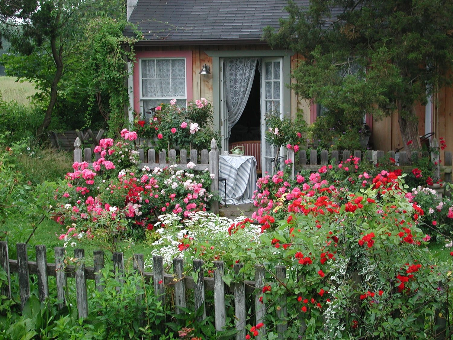 Дом в цветущем саду. Палисад мальвы деревня. Палисадник перед домом Англия. Космея Бабушкин палисадник. Палисад Англия.