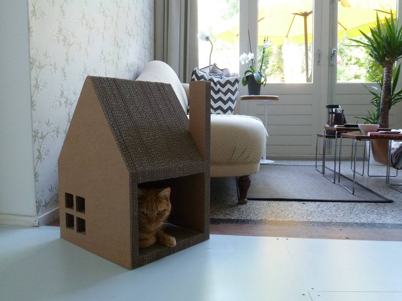 Домики для кошек из картонных коробок