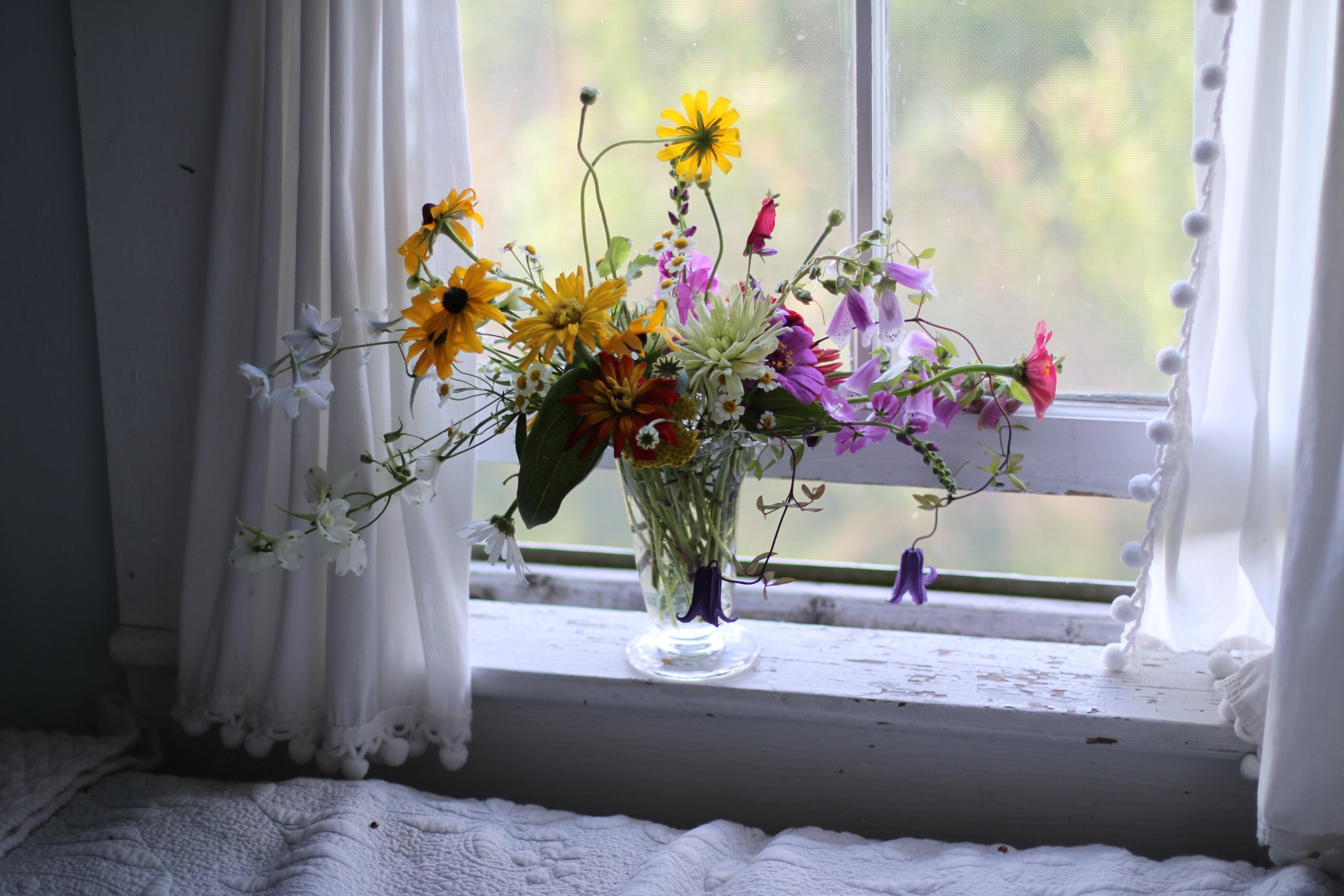 Подарить цветы в окно. Подоконник с цветами. Цветы на подоконнике. Красивый подоконник с цветами. Букет цветов на подоконнике.