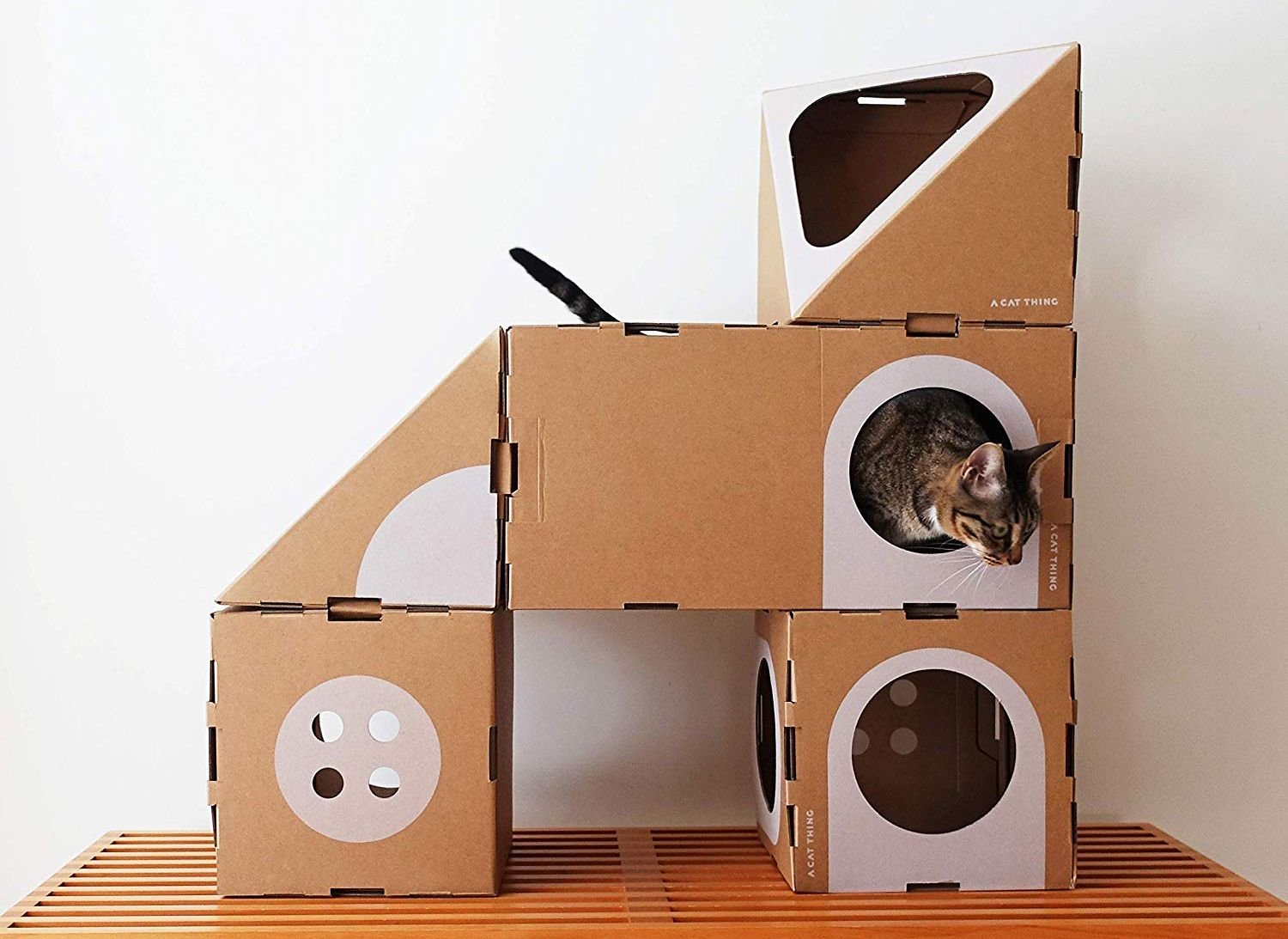 Cat thing. Картонный домик для кошки. Домики для котов из картона. Домики для котов из коробок. Домик для кошки из картонных коробок.