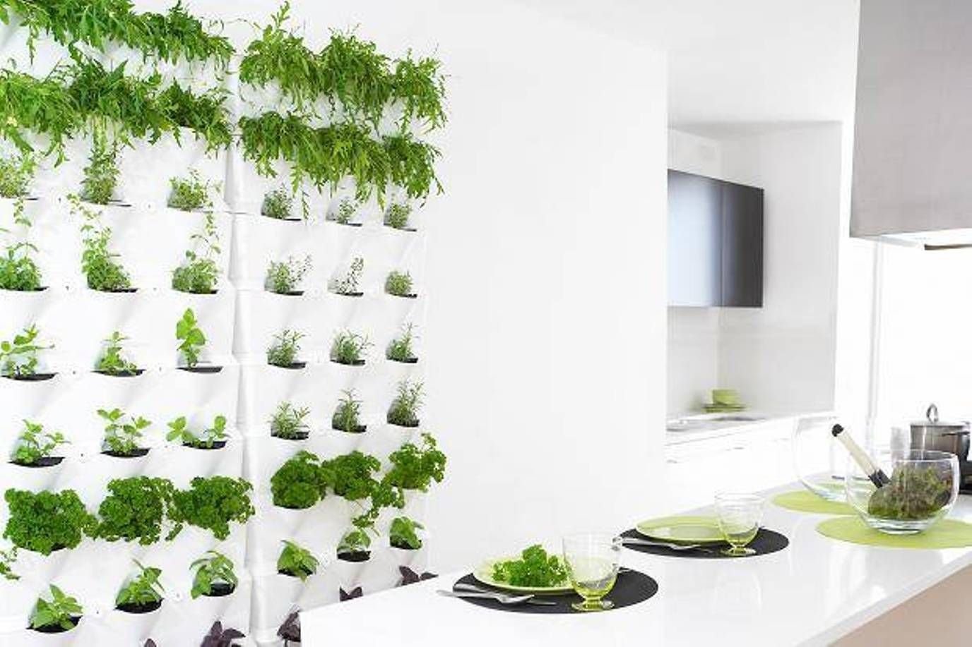 Вертикальный сад на кухне