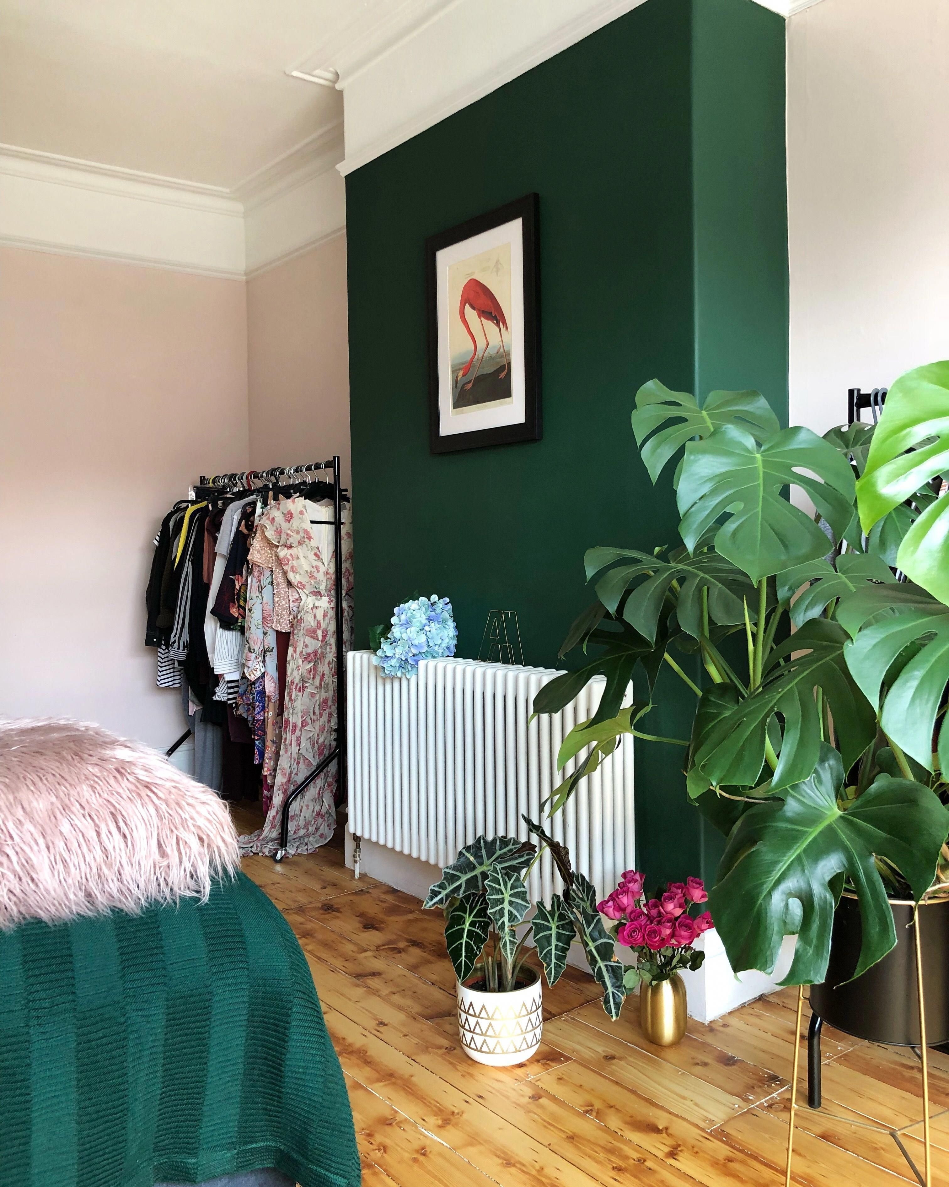 Комната без растений. Сочетание розового и зеленого в интерьере. Комната с зелеными стенами. Изумрудные стены в интерьере. Зеленый цвет в интерьере.