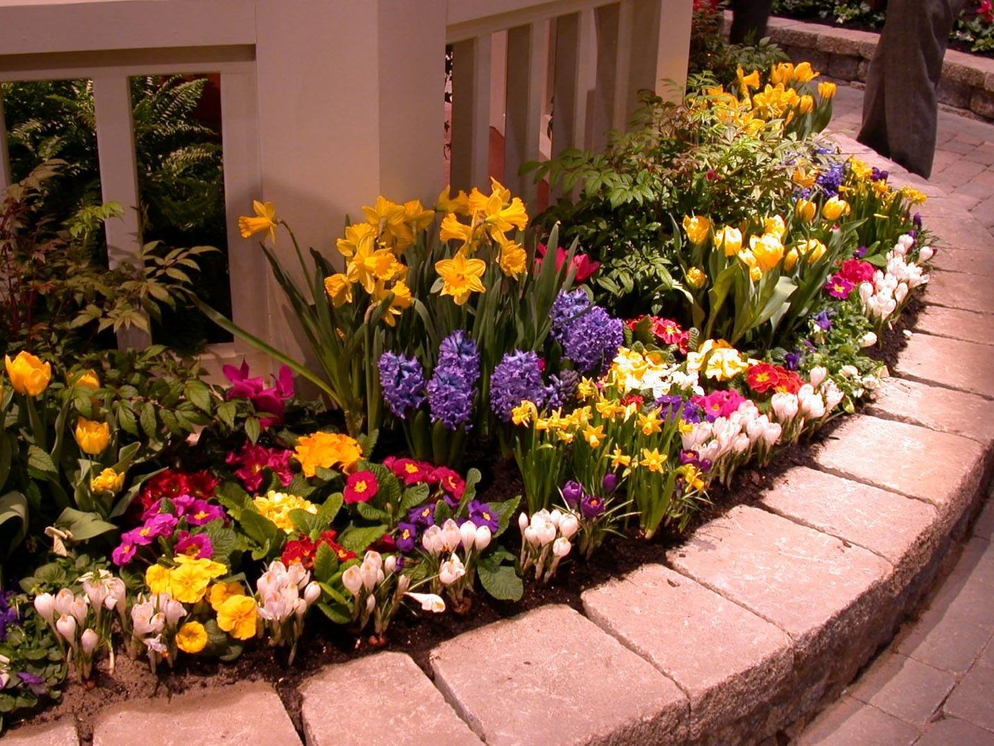 Какие цветы посадить перед домом