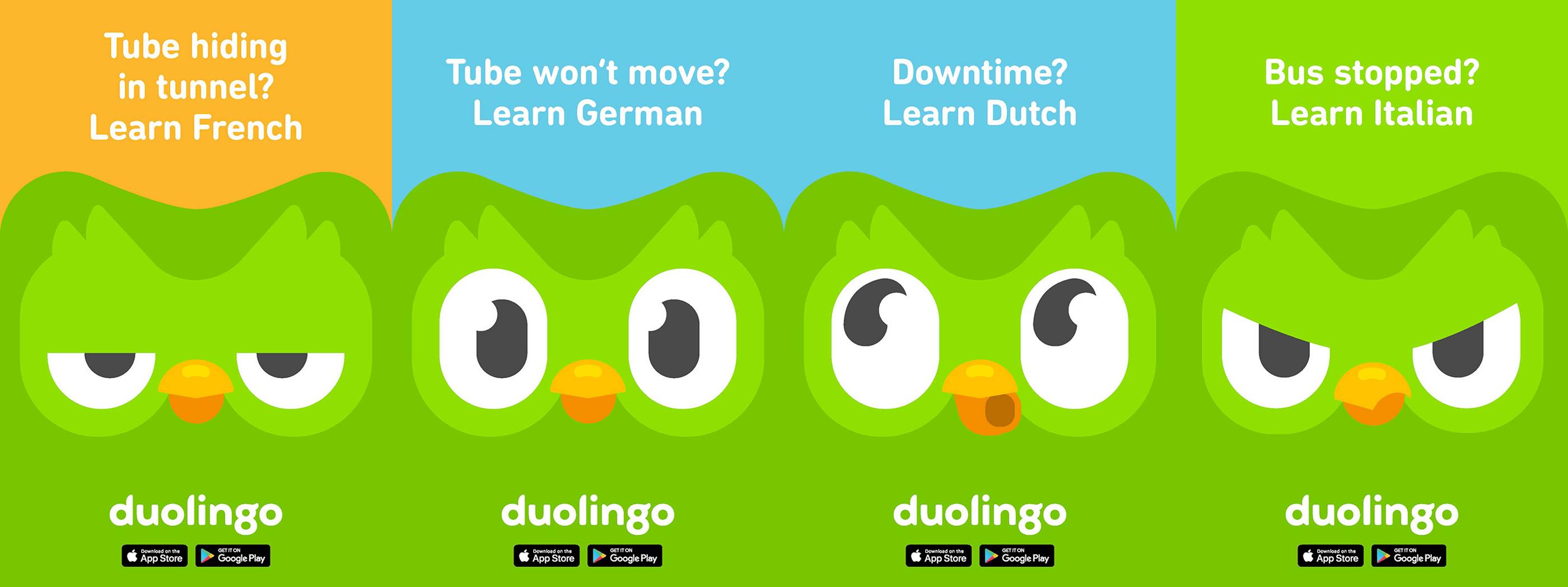 Duolingo 34. Duolingo Duo. Совенок Дуолинго. Duolingo персонажи. Duolingo картинки.