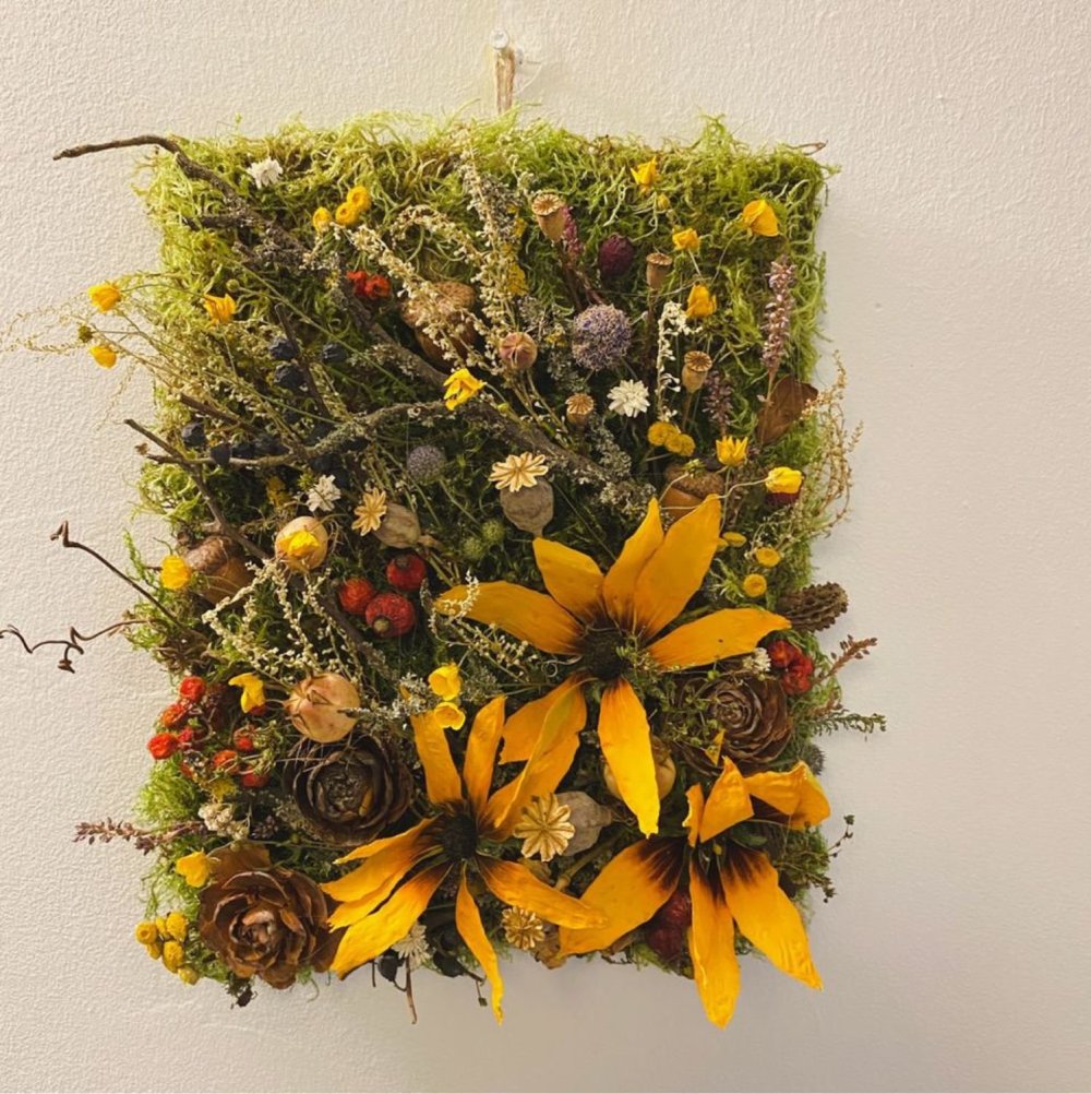 Фитостена из сухоцветов