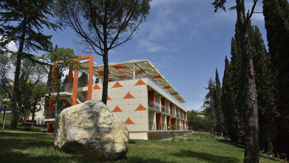 Артек Лесной корпуса