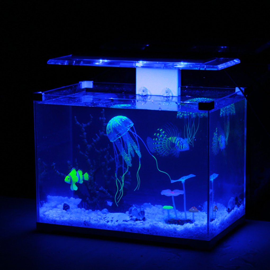 Медуза живая купить. Аквариум с медузами. Аквариум с неоновой подсветкой. Аквариум с рыбками с подсветкой. Подсветка для аквариума.
