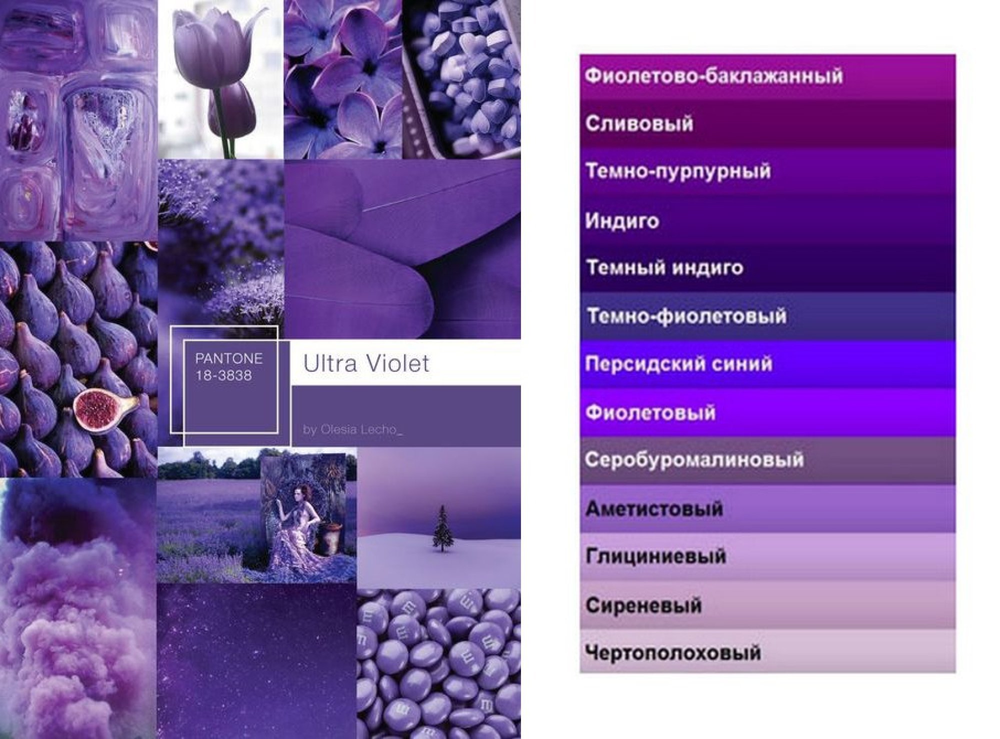 Какой цвет ассоциируется с именем. Оттенки фиолетового. Оттенки фиолетового с названиями. Ототтенуи фиолетового. Оттенки сиреневого с названиями.
