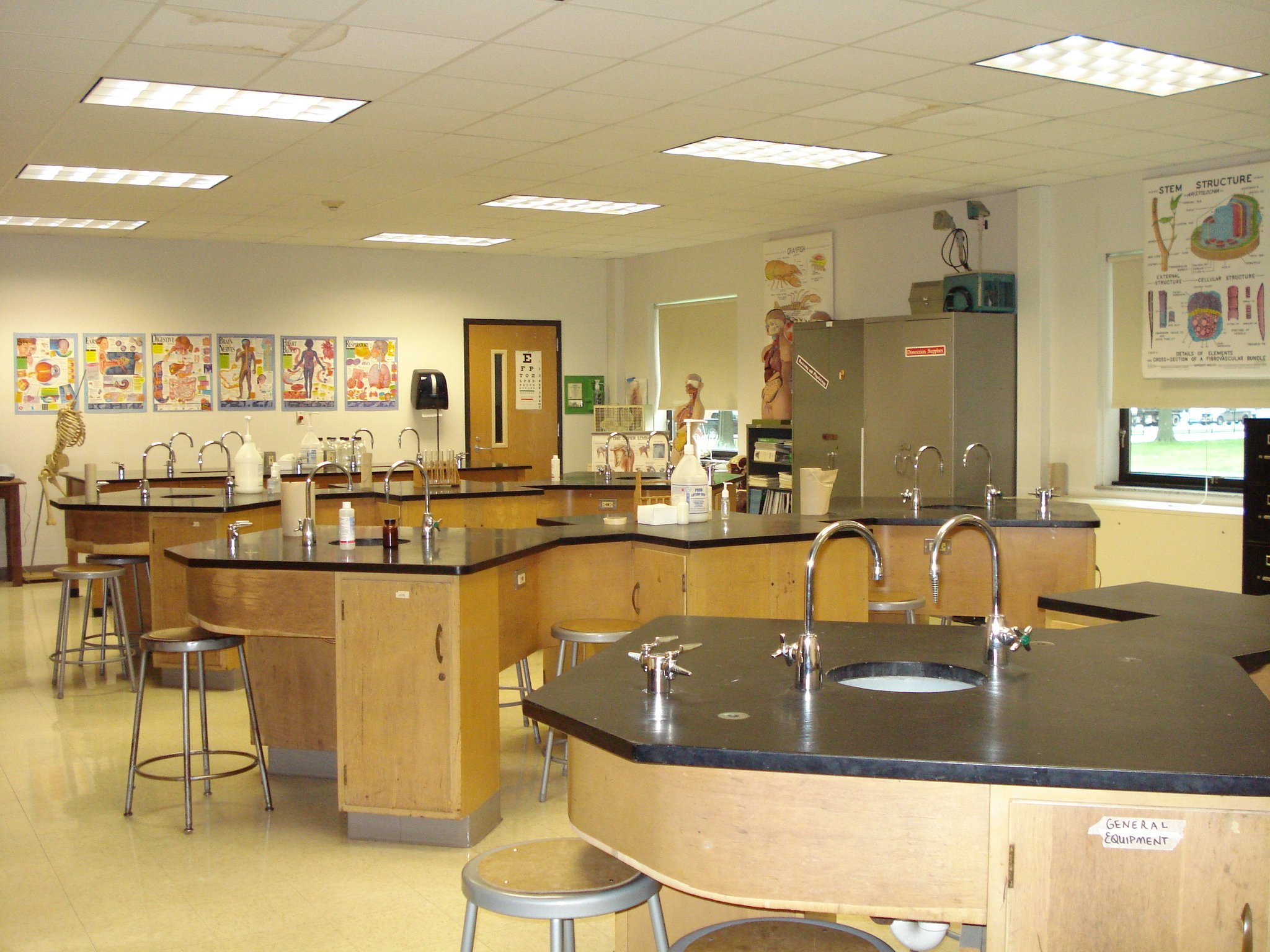 Клас химии. Современный кабинет химии. Современный школьный кабинет химии. Современный кабинет биологии. Современный кабинет химии вщколе.